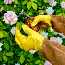 Load image into Gallery viewer, Long Garden Gloves - Rose Pruning Gloves (Soft Cowhide) - The Celtic Farm