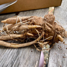 Load image into Gallery viewer, Unique Dahlia Garden Gift Box - Dinnerplate Dahlias - The Celtic Farm