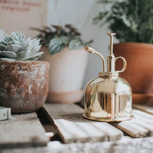 Load image into Gallery viewer, Brass Mist Sprayer - The Smethwick Spritzer Plant Mister - The Celtic Farm