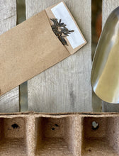 Load image into Gallery viewer, unique garden gift box with dahlia seeds