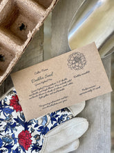 Load image into Gallery viewer, grow kit for dahlias