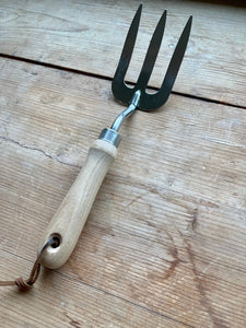 garden hand tool fork