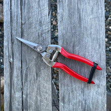 Load image into Gallery viewer, Garden Micro Tip, Needle Nose Pruners - 2.25" Stainless Blade - The Celtic Farm