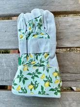 Load image into Gallery viewer, Gardening Gift Box - Gloves, Belt and Pruners - The Celtic Farm