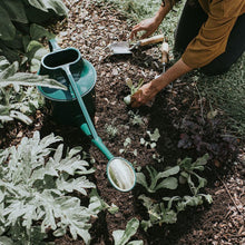 Load image into Gallery viewer, Haws Cradley Cascader - Watering Can - The Celtic Farm