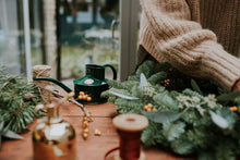 Load image into Gallery viewer, Haws Holiday Indoor Gardener Bundle- Fazeley Can & Brass Spritzer - The Celtic Farm