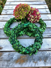 Load image into Gallery viewer, Preserved Boxwood Wreath - 10 " Small Wreath for Christmas or Holidays - The Celtic Farm