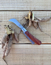 Load image into Gallery viewer, Professional Gardener&#39;s Knife - For Pruning, Grafting and Propagation - The Celtic Farm