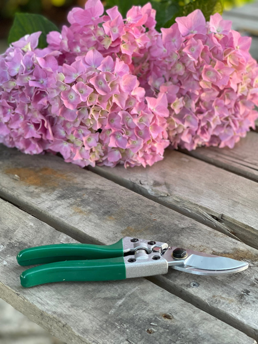 Pruner Shears For the Garden - Our Best Hand Pruners - Carbon Steel – The  Celtic Farm