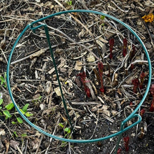 Load image into Gallery viewer, 24" Plant Hoops – 8 - Piece Green Metal Plant Support Stake Kit for Garden Plants, Flowers &amp; Vegetables - The Celtic Farm