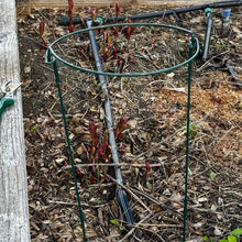 Load image into Gallery viewer, 24" Plant Hoops – 8 - Piece Green Metal Plant Support Stake Kit for Garden Plants, Flowers &amp; Vegetables - The Celtic Farm