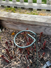 Load image into Gallery viewer, 24" Plant Stakes – 6 - Pack Green Metal Plant Support Stake for Garden Plants, Flowers &amp; Vegetables - The Celtic Farm