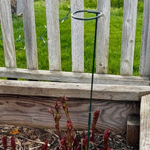 Load image into Gallery viewer, 24" Plant Stakes – 6 - Pack Green Metal Plant Support Stake for Garden Plants, Flowers &amp; Vegetables - The Celtic Farm