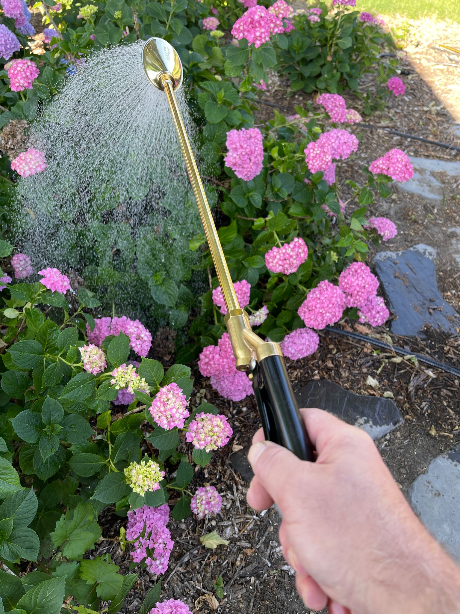 haws watering lance or wand with brass tip
