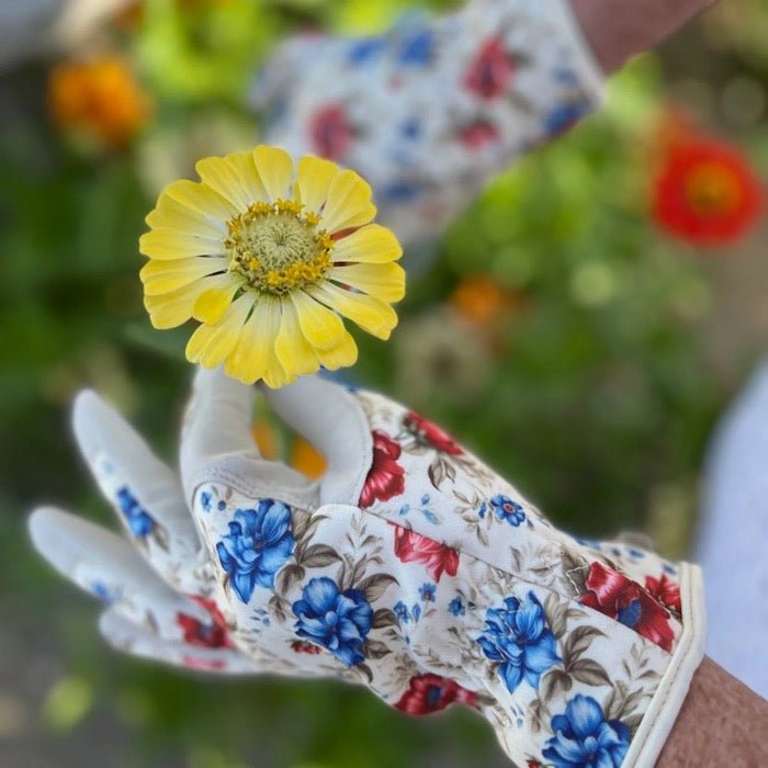 Garden Gift Box - Gloves and Snips - The Celtic Farm