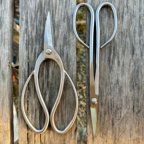 Garden Gift Box - Stainless Garden Scissor Set - The Celtic Farm