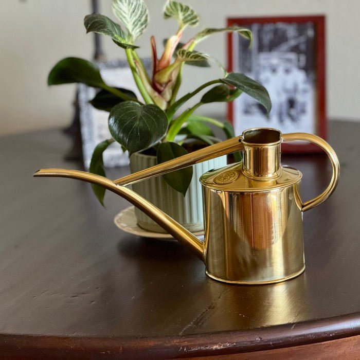 Haws Brass Fazeley - Watering Can - The Celtic Farm