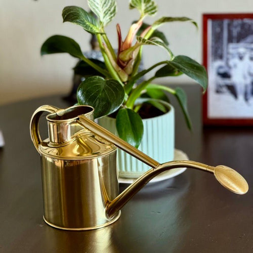 Haws Brass Rowley Ripple - Watering Can - The Celtic Farm