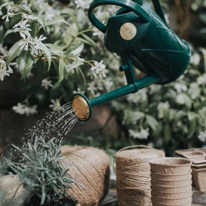 Indoor Gardener's Bundle - The Celtic Farm