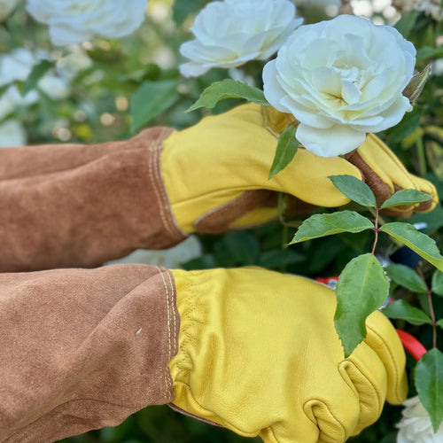 Long Garden Gloves - Rose Pruning Gloves (Soft Cowhide) - The Celtic Farm
