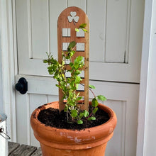 Load image into Gallery viewer, Unique Shamrock Trellis | Made in USA with US Cedar/Redwood - The Celtic Farm