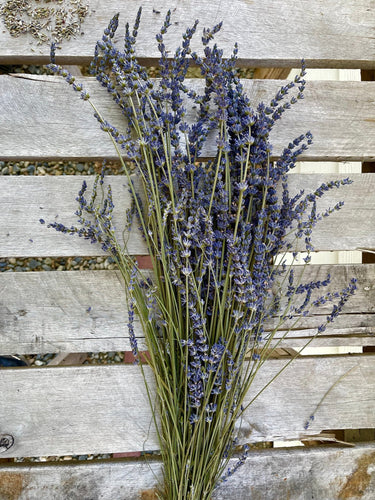 2021 Harvested Dried Lavender Bunch (250 Stems)