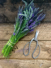 Load image into Gallery viewer, Dried lavender bundles farm