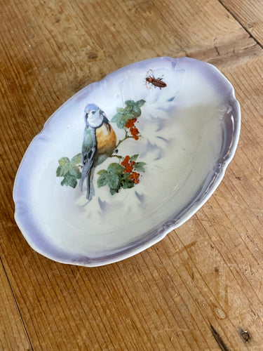 Vintage Bird and Bug Oval Dish (German)