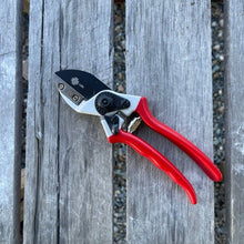 Load image into Gallery viewer, Anvil Pruner - Quality Anvil + Blade Shears - The Celtic Farm