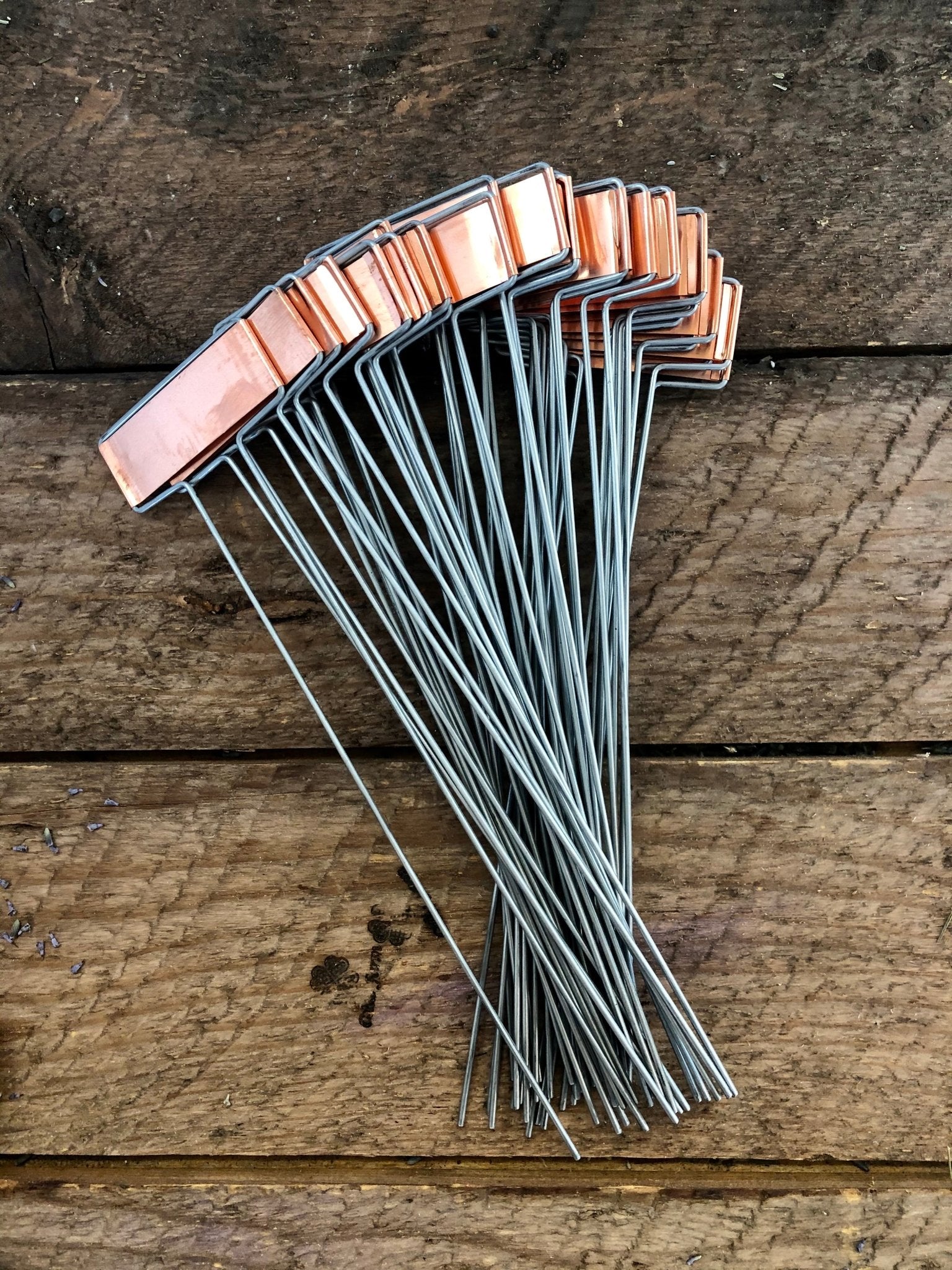 Copper Plant Tags