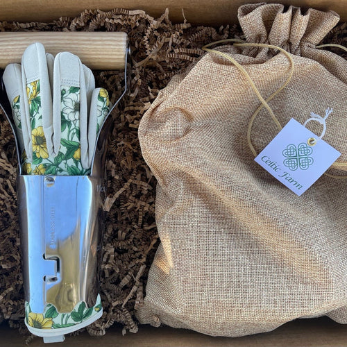 Daffodil Garden Gift Box - Daffodils, Bulb Planter and Gloves - The Celtic Farm