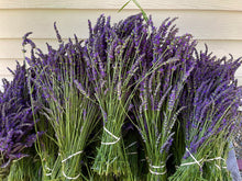 Load image into Gallery viewer, Dried Lavender Buds - USA Grown - 6 Ounce Bag