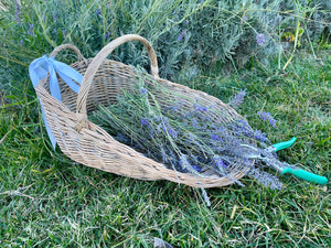 French Lavender Scoop Basket