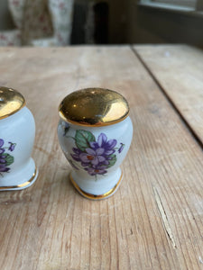 French Limoges Salt and Pepper Shakers with Flowers
