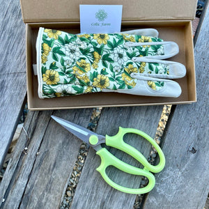 Garden Gift Box - Gloves and Garden Snips - The Celtic Farm