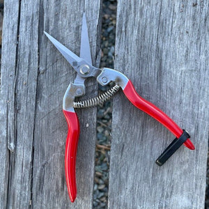 Garden Micro Tip, Needle Nose Pruners - 2.25" Stainless Blade - The Celtic Farm