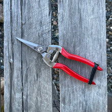 Load image into Gallery viewer, Garden Micro Tip, Needle Nose Pruners - 2.25&quot; Stainless Blade - The Celtic Farm