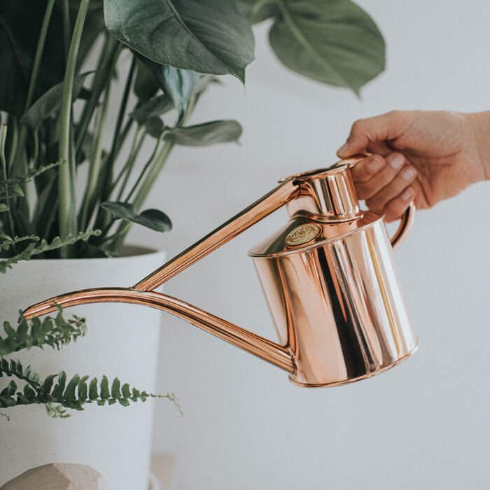 Indoor watering can options