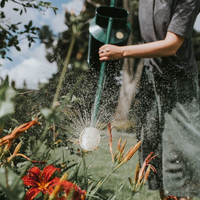 Haws Warley Fall - Watering Can - 1 Gallon/2 Gallon – The Celtic Farm