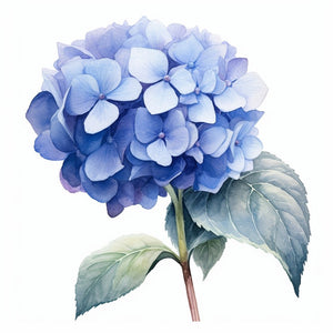 Hydrangea Flower Stationery - Note Cards and Envelopes (10) - The Celtic Farm