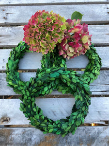Preserved Boxwood Wreath - 10 " Small Wreath for Christmas or Holidays - The Celtic Farm