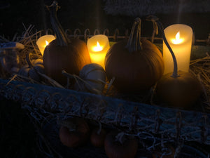 Special Buy - Individual Flameless Candles - Made of Real Wax - The Celtic Farm