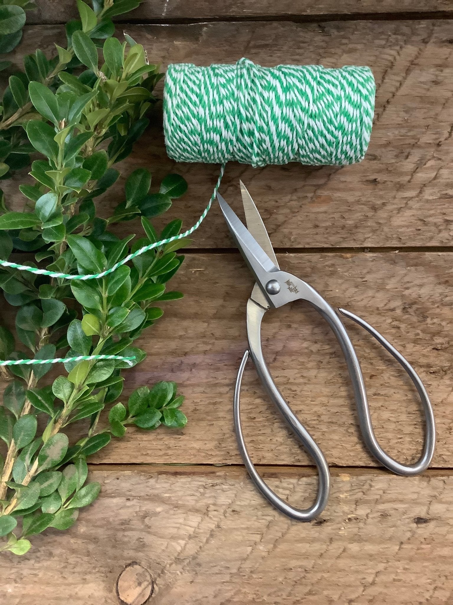 best garden pruning scissors Stainless Garden Scissors (Pruning Shears/Pruners/Secateurs/Clippers)
