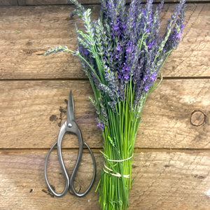 Snips for herbs and flowers in the garden