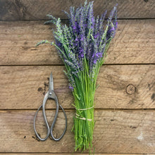 Load image into Gallery viewer, Stainless Garden Scissors (Pruning Shears/Pruners/Secateurs/Clippers) - The Celtic Farm