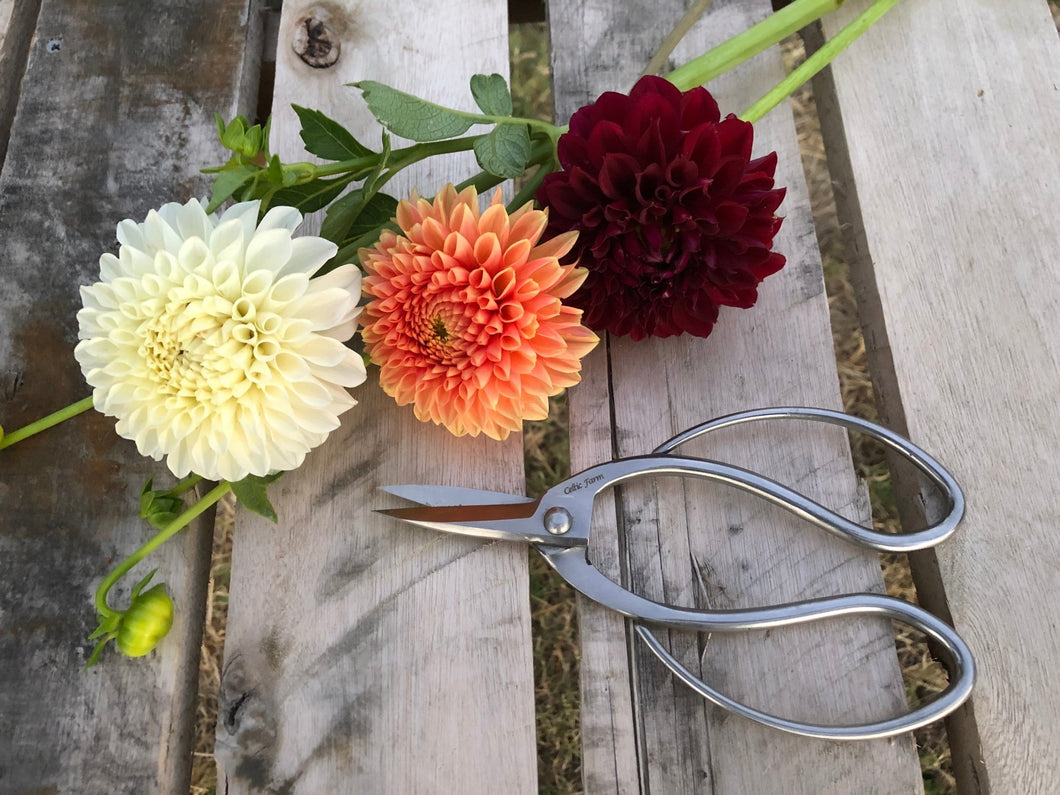 garden scissors wilko Stainless Garden Scissors (Pruning Shears/Pruners/Secateurs/Clippers)