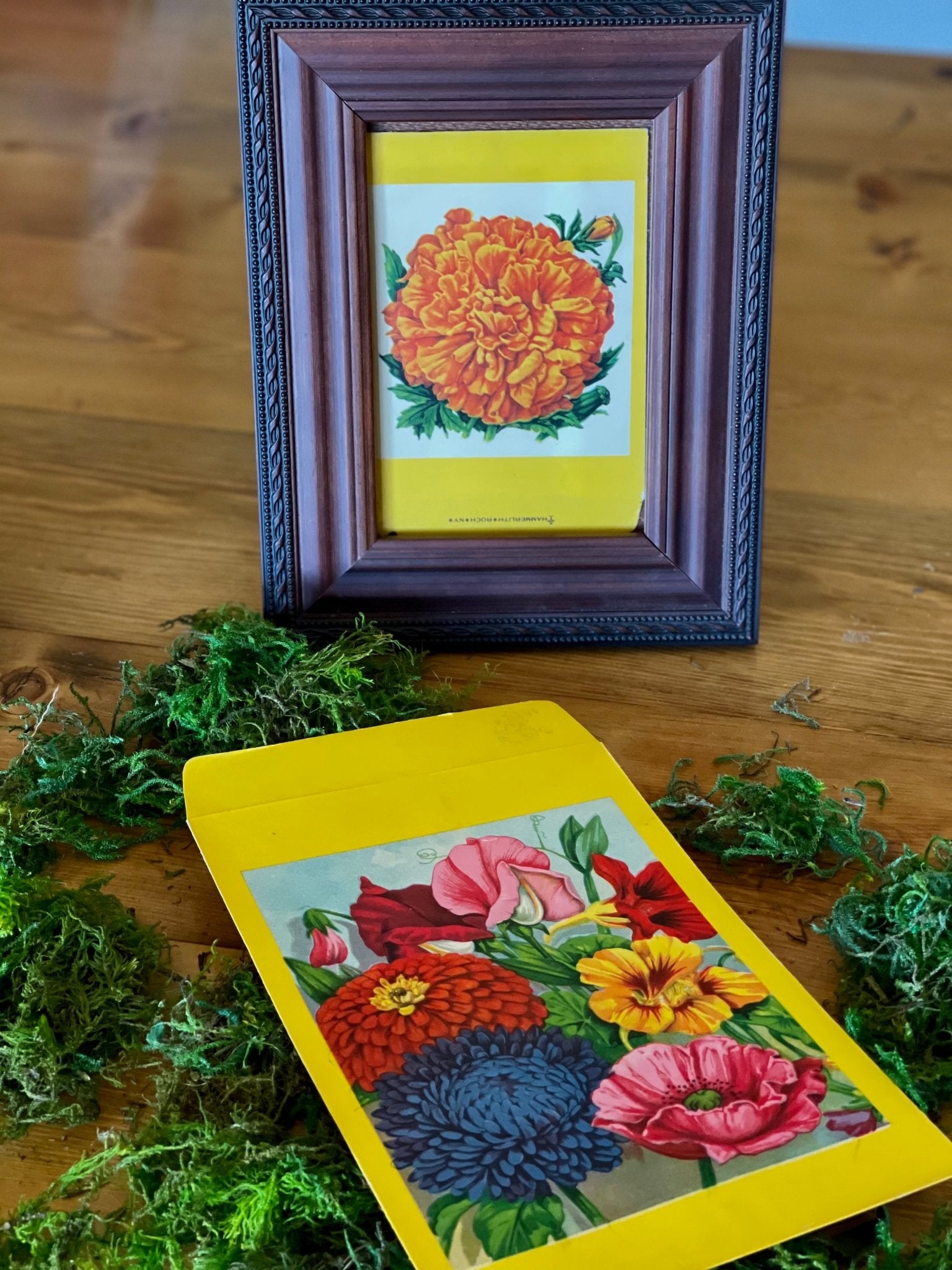 plant seed art Vintage Flower Seed Packets