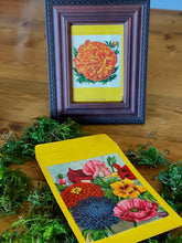Load image into Gallery viewer, Vintage Flower Seed Packets - Set of 2 Flower Art - The Celtic Farm