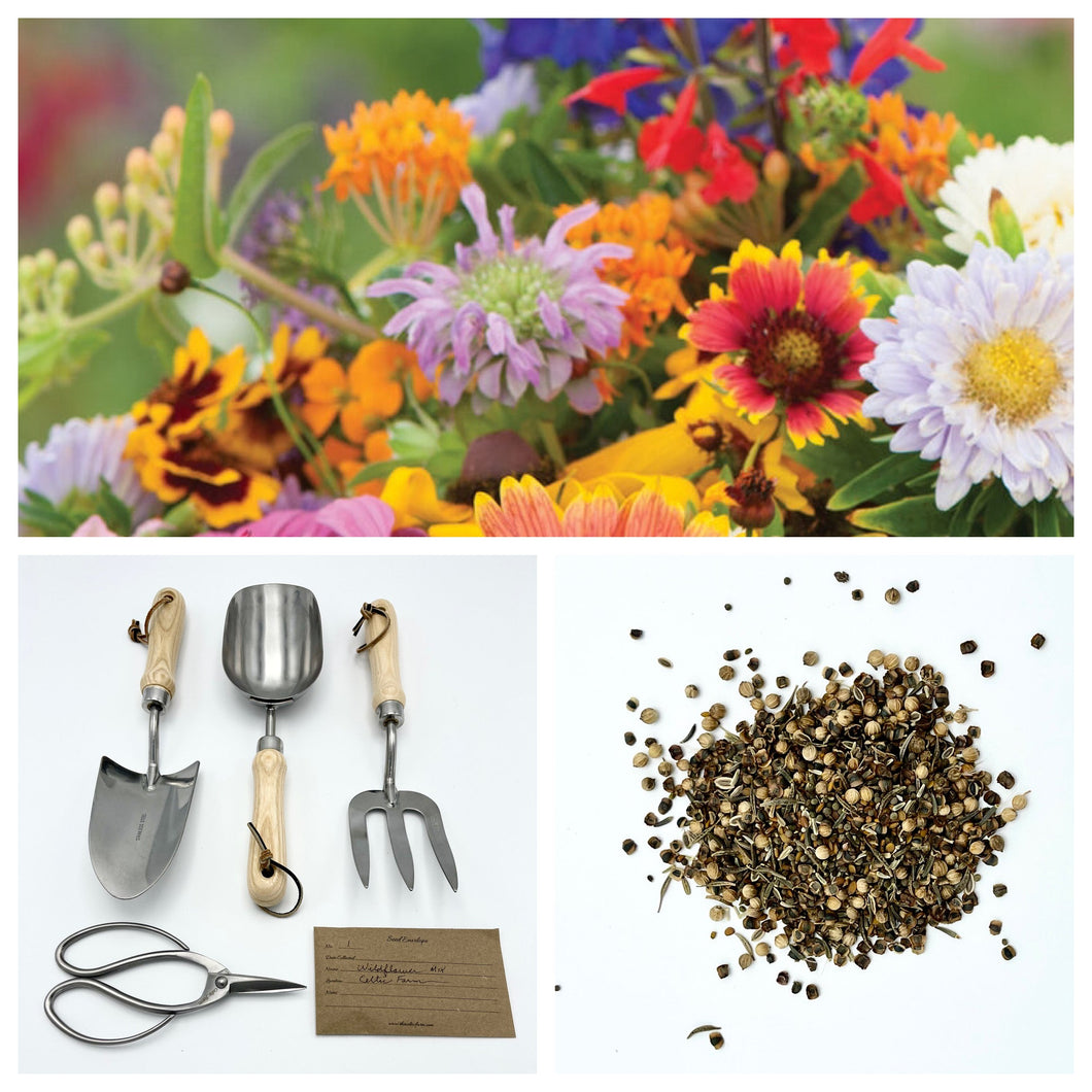 Wild for Wildflowers - Our Grow Kit Gift Box with Wildflowers - The Celtic Farm